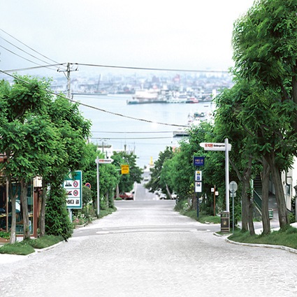 B-2529撮影用背景布★多サイズ対応(0.5ｍ x 0.9～3ｍ x 7m）★