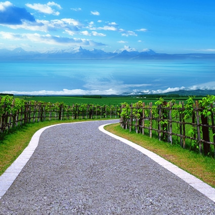 B-4091撮影用背景布★多サイズ対応(0.5ｍ x 0.9～3ｍ x 7m）★