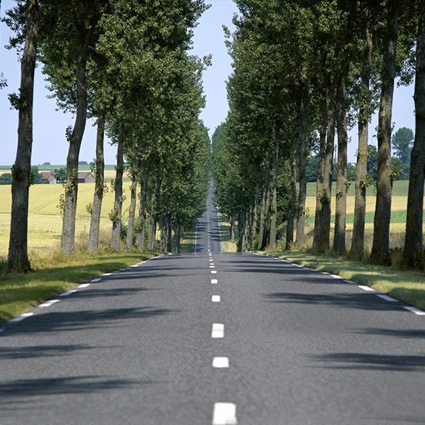 B-4669撮影用背景布★多サイズ対応(0.5ｍ x 0.9～3ｍ x 7m）★