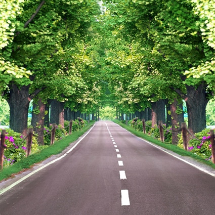 B-4841撮影用背景布★多サイズ対応(0.5ｍ x 0.9～3ｍ x 7m）★