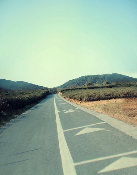 B-y-3228撮影用背景布★多サイズ対応(0.5ｍ x 0.9～3ｍ x 7m）★