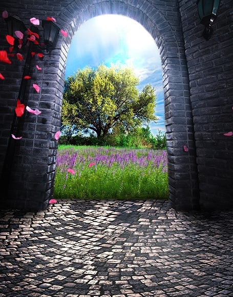 B-y-4208撮影用背景布★多サイズ対応(0.5ｍ x 0.9～3ｍ x 7m）★