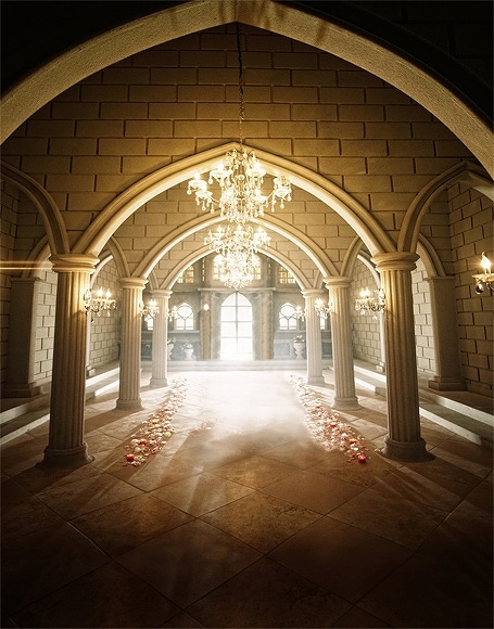 B-y-4968撮影用背景布★多サイズ対応(0.5ｍ x 0.9～3ｍ x 7m）★