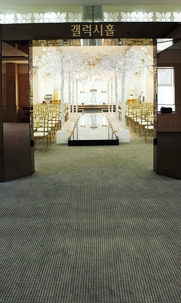 B-y1728撮影用背景布★多サイズ対応(0.5ｍ x 0.9～3ｍ x 7m）★