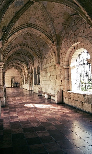 B-y1947撮影用背景布★多サイズ対応(0.5ｍ x 0.9～3ｍ x 7m）★