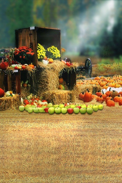 B-y2035撮影用背景布★多サイズ対応(0.5ｍ x 0.9～3ｍ x 7m）★