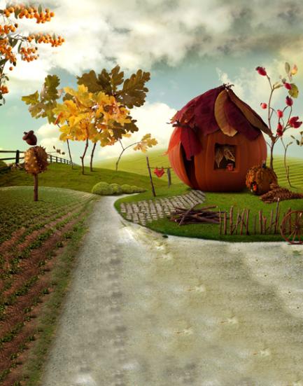 B-y2364撮影用背景布★多サイズ対応(0.5ｍ x 0.9～3ｍ x 7m）★