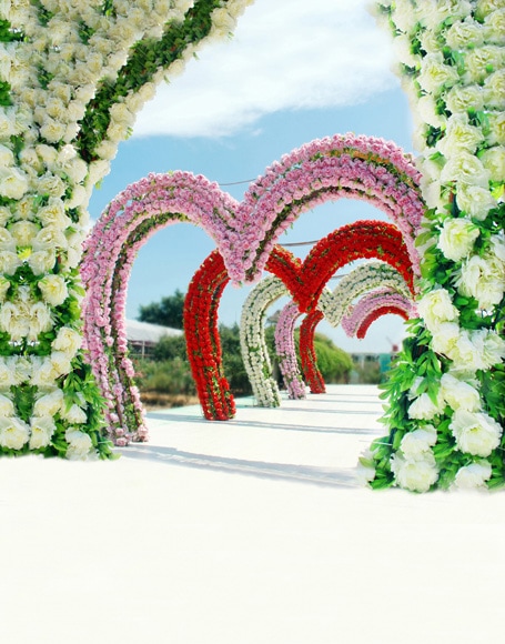 B-y-4384撮影用背景布★多サイズ対応(0.5ｍ x 0.9～3ｍ x 7m）★