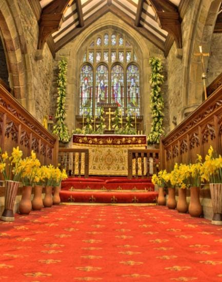 B-y-4730撮影用背景布★多サイズ対応(0.5ｍ x 0.9～3ｍ x 7m）★