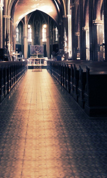 B-y2009撮影用背景布★多サイズ対応(0.5ｍ x 0.9～3ｍ x 7m）★