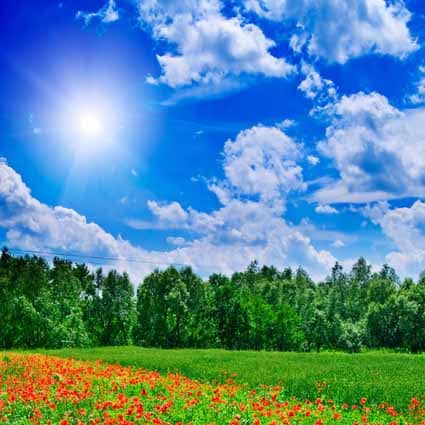 B-7138撮影用背景布★多サイズ対応(0.5ｍ x 0.9～3ｍ x 7m）★