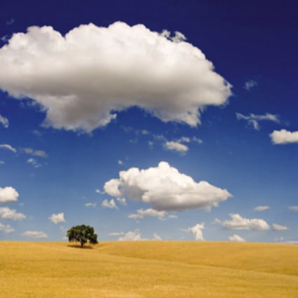 B-S7375撮影用背景布★多サイズ対応(0.5ｍ x 0.9～3ｍ x 7m）★