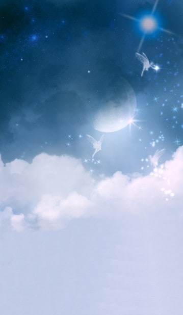 B-w012撮影用背景布★多サイズ対応(0.5ｍ x 0.9～3ｍ x 7m）★