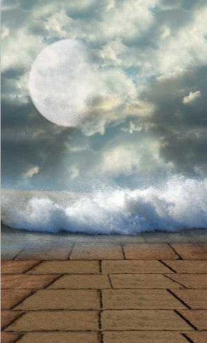 B-w015撮影用背景布★多サイズ対応(0.5ｍ x 0.9～3ｍ x 7m）★