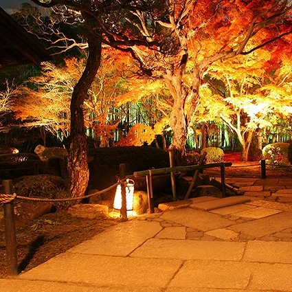B-2328撮影用背景布★多サイズ対応(0.5ｍ x 0.9～3ｍ x 7m）★