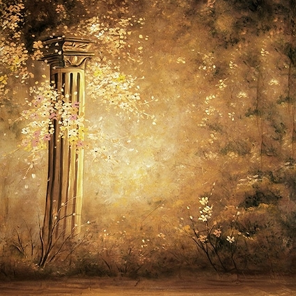 B-4148撮影用背景布★多サイズ対応(0.5ｍ x 0.9～3ｍ x 7m）★