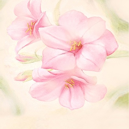 B-4588撮影用背景布★多サイズ対応(0.5ｍ x 0.9～3ｍ x 7m）★