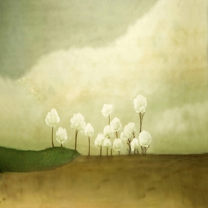 B-4728撮影用背景布★多サイズ対応(0.5ｍ x 0.9～3ｍ x 7m）★