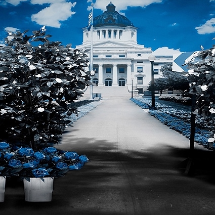 B-4556撮影用背景布★多サイズ対応(0.5ｍ x 0.9～3ｍ x 7m）★