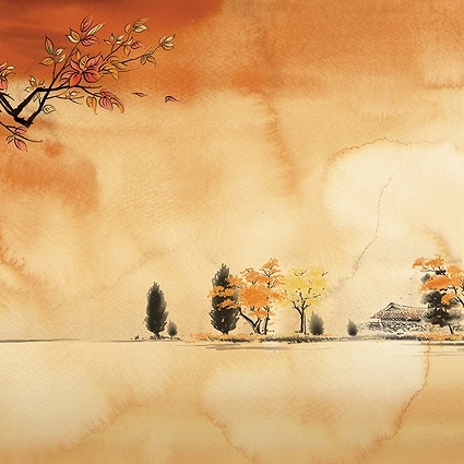 B-5953撮影用背景布★多サイズ対応(0.5ｍ x 0.9～3ｍ x 7m）★