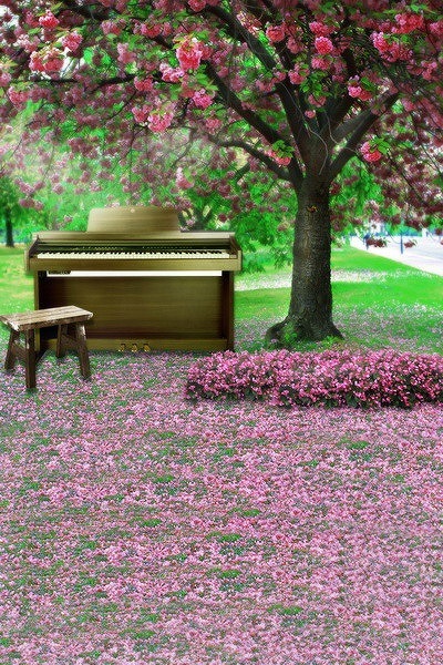 B-y1640撮影用背景布★多サイズ対応(0.5ｍ x 0.9～3ｍ x 7m）★