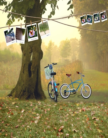 B-y2642撮影用背景布★多サイズ対応(0.5ｍ x 0.9～3ｍ x 7m）★