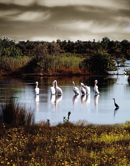 B-y-3004撮影用背景布★多サイズ対応(0.5ｍ x 0.9～3ｍ x 7m）★