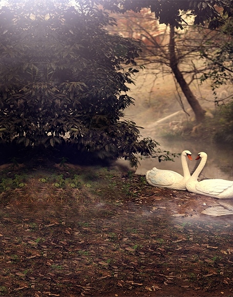 B-y-3177撮影用背景布★多サイズ対応(0.5ｍ x 0.9～3ｍ x 7m）★