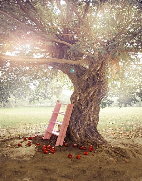 B-y-3565撮影用背景布★多サイズ対応(0.5ｍ x 0.9～3ｍ x 7m）★