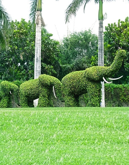 B-y-4275撮影用背景布★多サイズ対応(0.5ｍ x 0.9～3ｍ x 7m）★