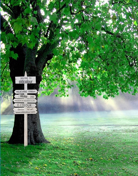 B-y-4347撮影用背景布★多サイズ対応(0.5ｍ x 0.9～3ｍ x 7m）★