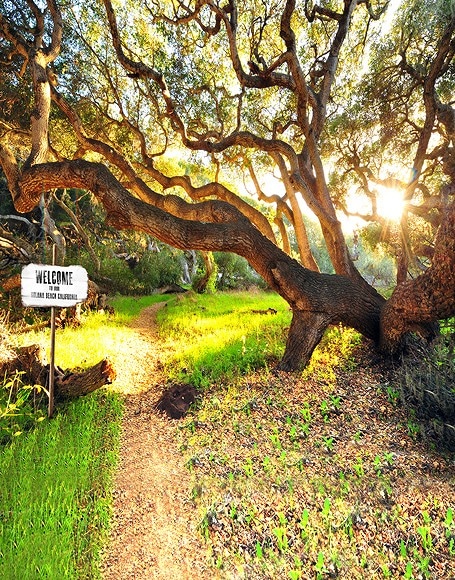 B-y-4444撮影用背景布★多サイズ対応(0.5ｍ x 0.9～3ｍ x 7m）★