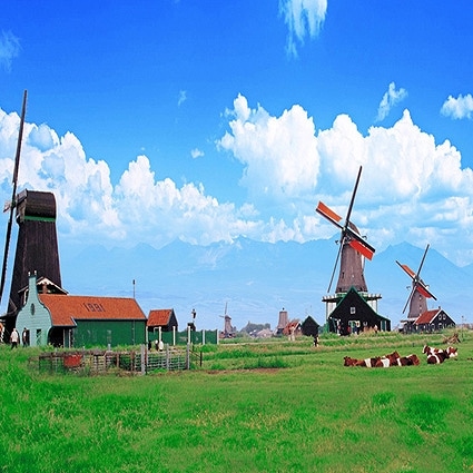 B-1085撮影用背景布★多サイズ対応(0.5ｍ x 0.9～3ｍ x 7m）★