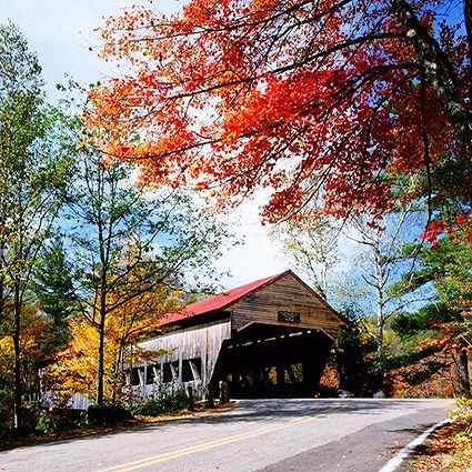 B-1103撮影用背景布★多サイズ対応(0.5ｍ x 0.9～3ｍ x 7m）★