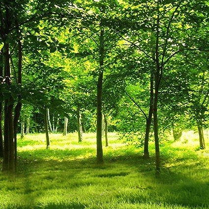 B-1106撮影用背景布★多サイズ対応(0.5ｍ x 0.9～3ｍ x 7m）★