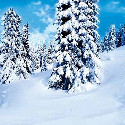 B-1109撮影用背景布★多サイズ対応(0.5ｍ x 0.9～3ｍ x 7m）★