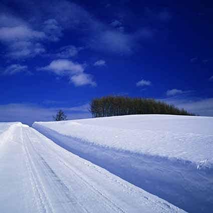 B-1137撮影用背景布★多サイズ対応(0.5ｍ x 0.9～3ｍ x 7m）★