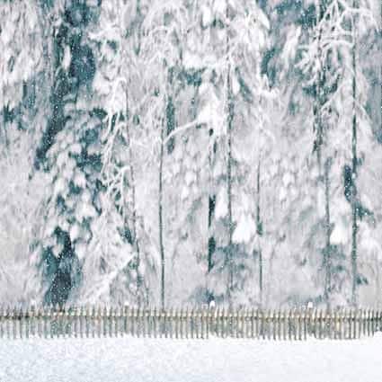 B-1260撮影用背景布★多サイズ対応(0.5ｍ x 0.9～3ｍ x 7m）★