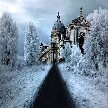 B-1316撮影用背景布★多サイズ対応(0.5ｍ x 0.9～3ｍ x 7m）★