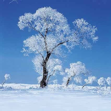 B-1334撮影用背景布★多サイズ対応(0.5ｍ x 0.9～3ｍ x 7m）★