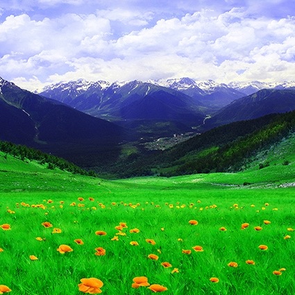 B-1377撮影用背景布★多サイズ対応(0.5ｍ x 0.9～3ｍ x 7m）★