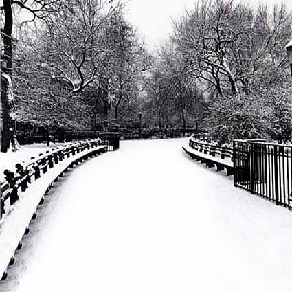 B-1579撮影用背景布★多サイズ対応(0.5ｍ x 0.9～3ｍ x 7m）★