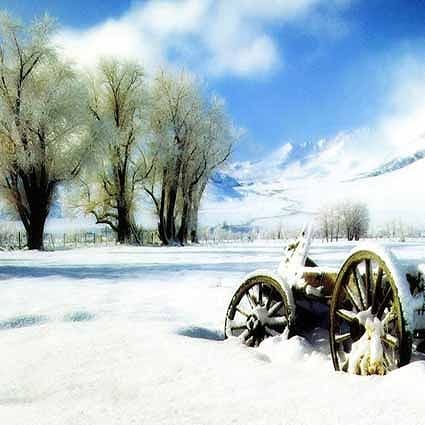 B-1828撮影用背景布★多サイズ対応(0.5ｍ x 0.9～3ｍ x 7m）★