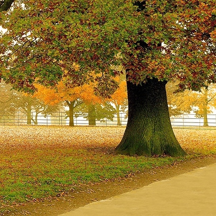 B-1846撮影用背景布★多サイズ対応(0.5ｍ x 0.9～3ｍ x 7m）★