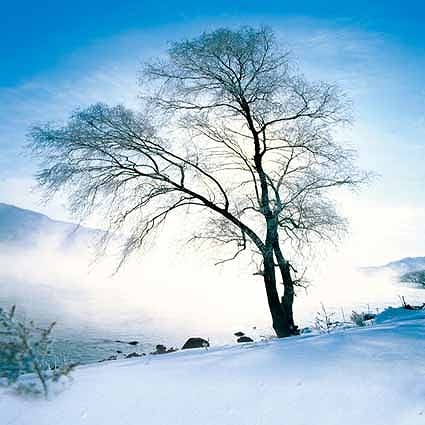 B-2031撮影用背景布★多サイズ対応(0.5ｍ x 0.9～3ｍ x 7m）★