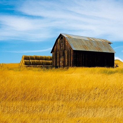 B-2033撮影用背景布★多サイズ対応(0.5ｍ x 0.9～3ｍ x 7m）★