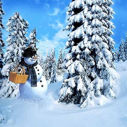 B-2122撮影用背景布★多サイズ対応(0.5ｍ x 0.9～3ｍ x 7m）★