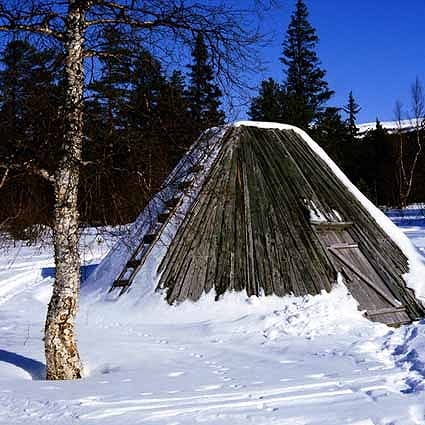 B-2307撮影用背景布★多サイズ対応(0.5ｍ x 0.9～3ｍ x 7m）★