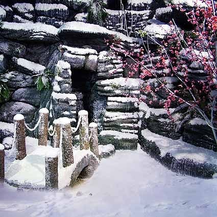 B-2436撮影用背景布★多サイズ対応(0.5ｍ x 0.9～3ｍ x 7m）★