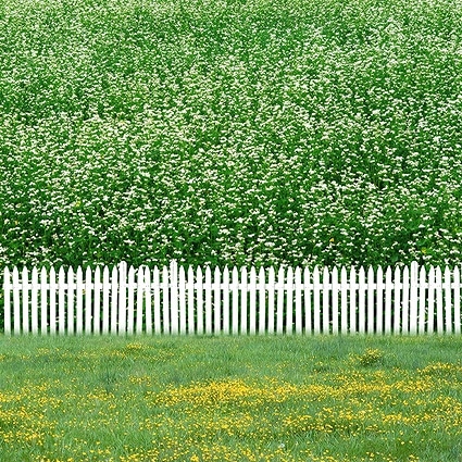 B-5160撮影用背景布★多サイズ対応(0.5ｍ x 0.9～3ｍ x 7m）★